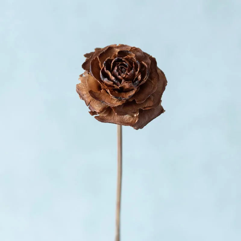 Oley Cedar Wood Rose Stick (Brown)- Set Of Ten media 3