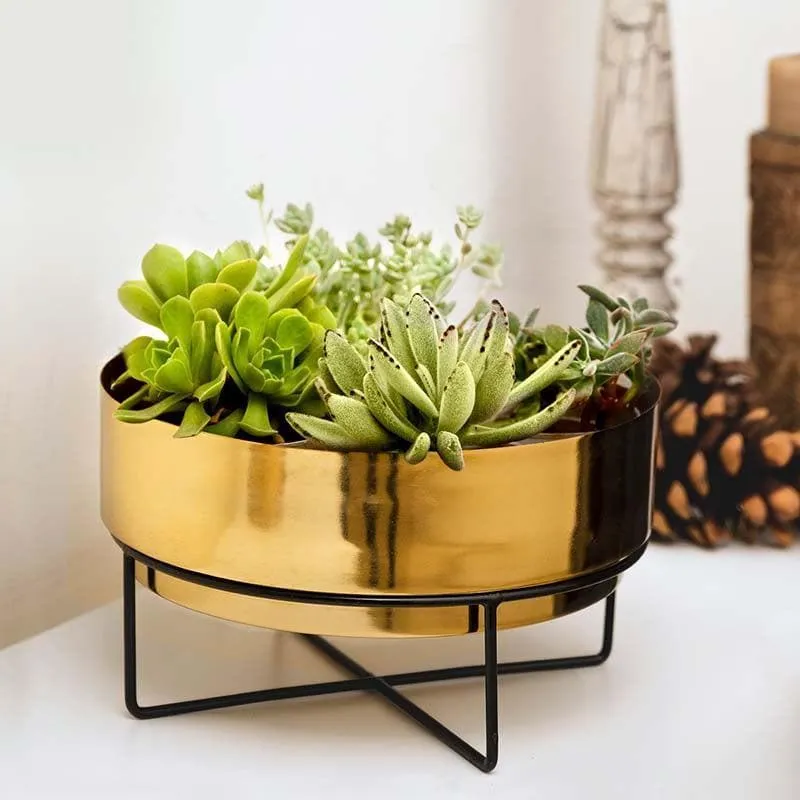 Sooty Patootie Planter-Gold media 3