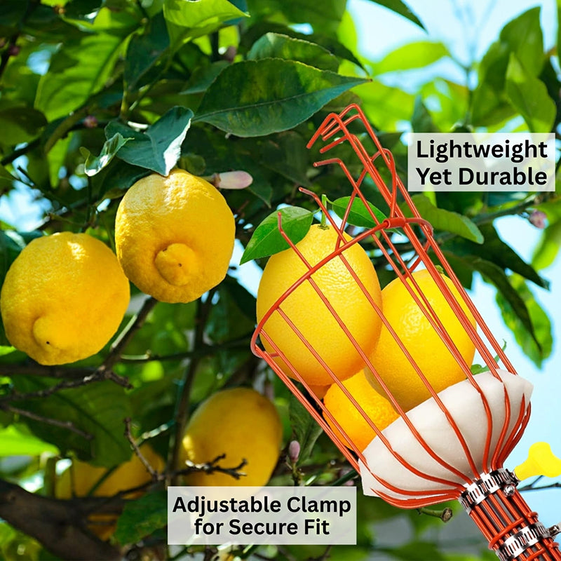 Pick Pro Fruit Picker - Orange media 8