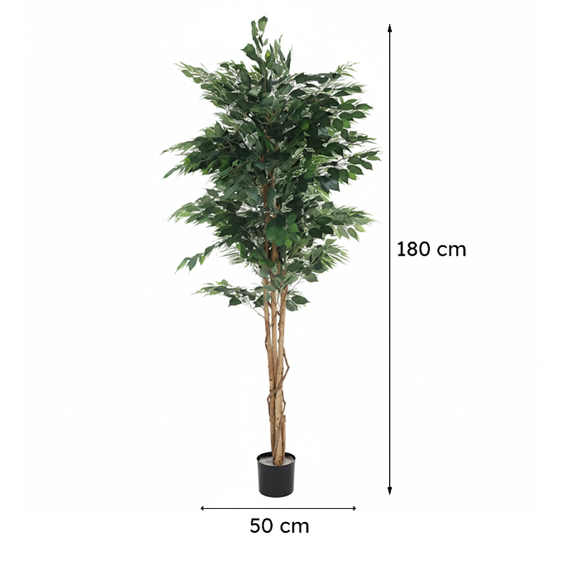 Faux Evergreen Ficus Plant With Black Plastic Pot - 5.91 ft image 7