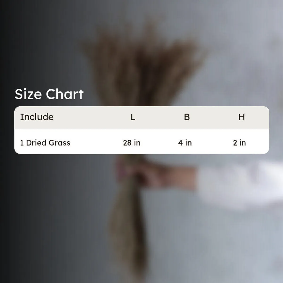 Brown dried grass arrangement shown with a size chart overlay.