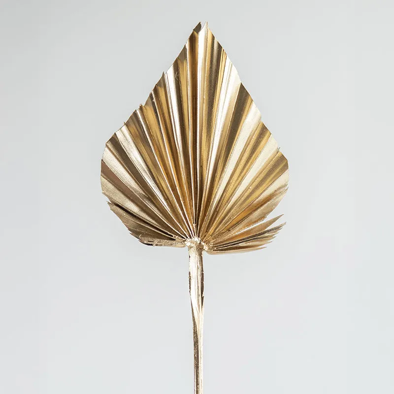 Savannah Mini Dried Palm Spear - Set Of Six media 4