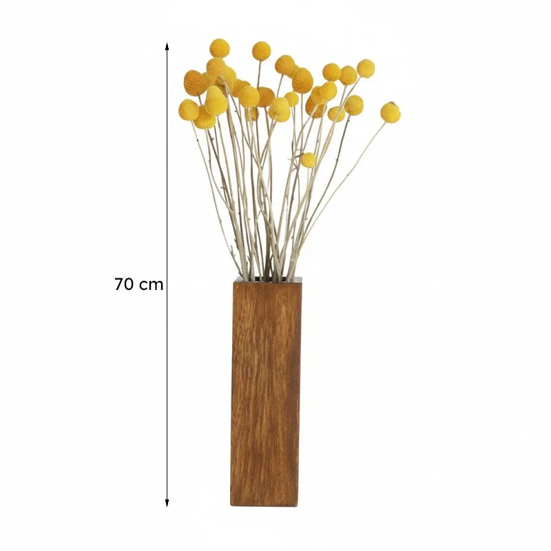 Naturally Dried Billy Pompom Ball Stems - Set Of Ten media 6
