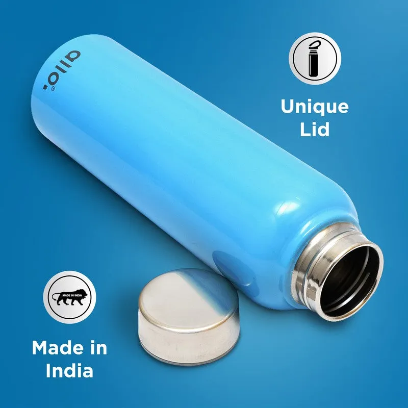 StreamFlex Stainless Steel Water Bottle - 950 mL - 7