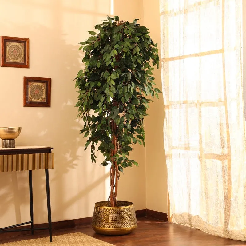 Artificial Green Ficus Plant With Black Plastic Pot - 7 ft media 5