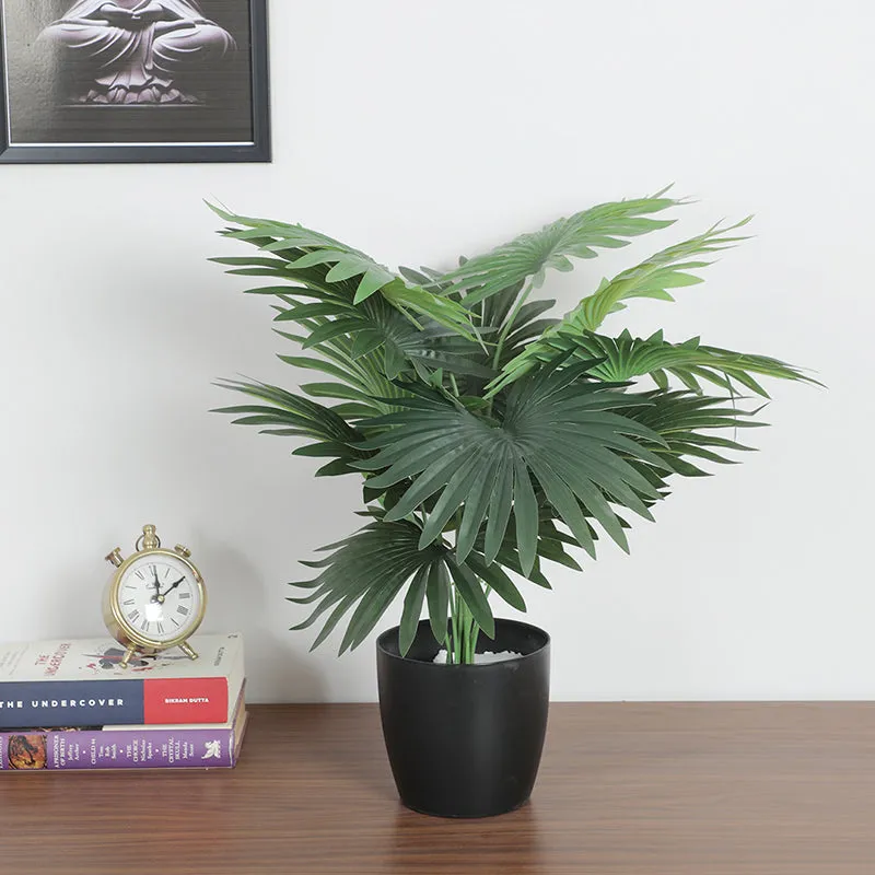 Edela Artificial Palm Tree With Black Plastic Pot - 1.8 Feet media 2