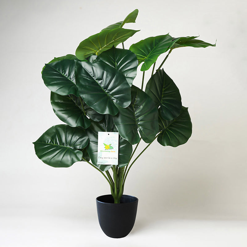 Faux Everlasting Cardinal Philodendron Plant With Black Plastic Pot - 74 cm (2.4 ft) media 4