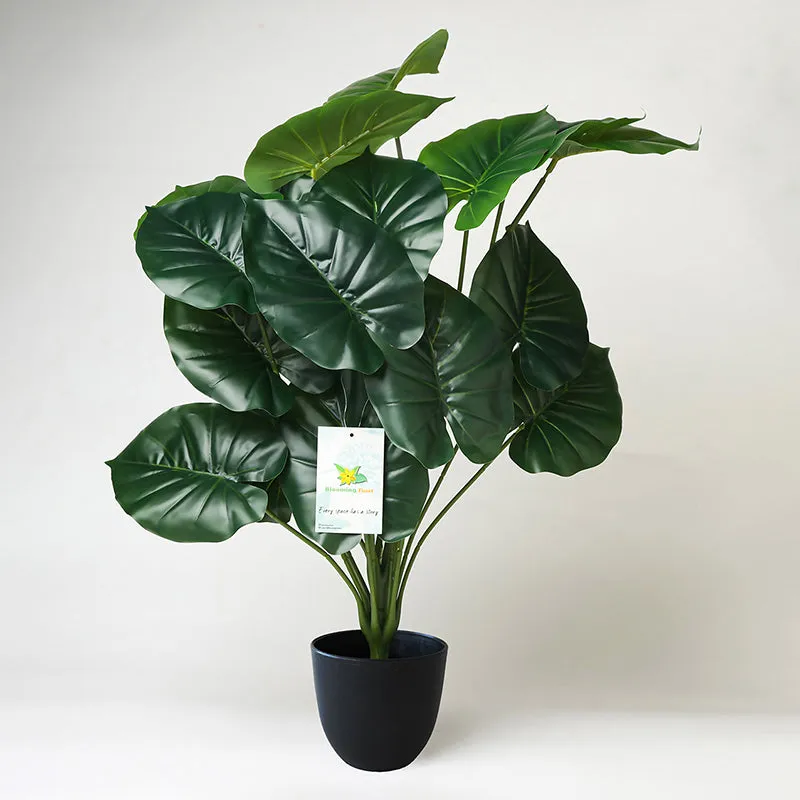 Faux Everlasting Cardinal Philodendron Plant With Black Plastic Pot - 74 cm (2.4 ft) media 4