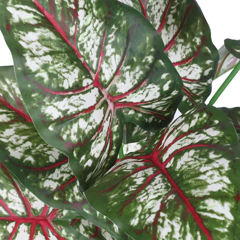 Faux Lush Caladium Plant With Black Plastic Pot - 2.3 Feet media 5