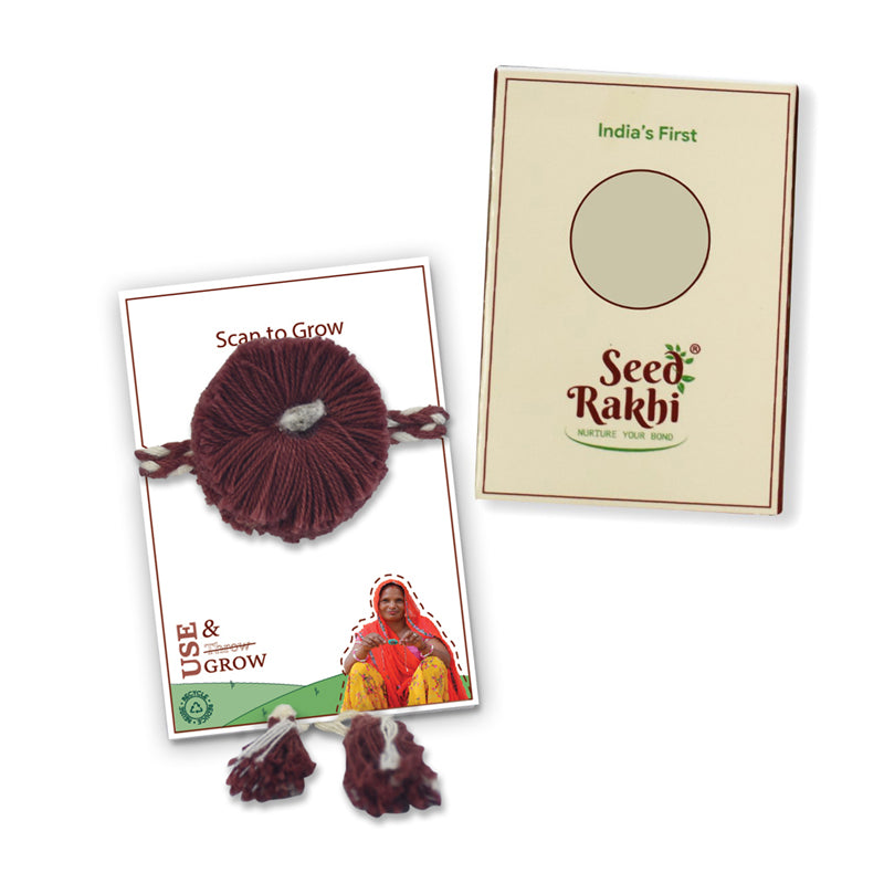 Sibling Bond Seed Rakhi Gift Box media 3