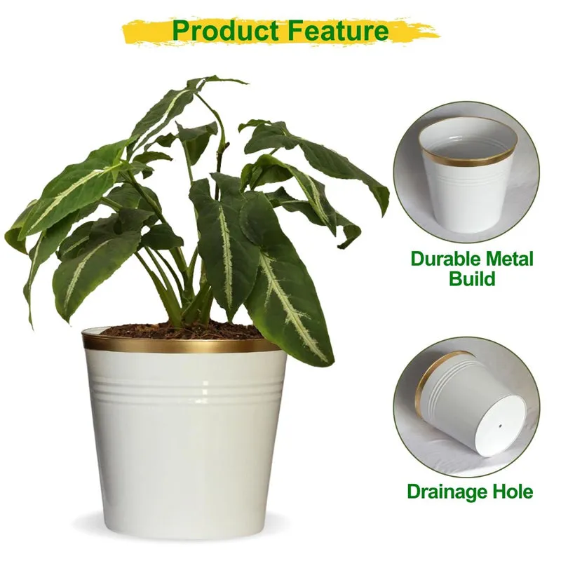 Elno Dola Planter (White) - Set Of Three media 4