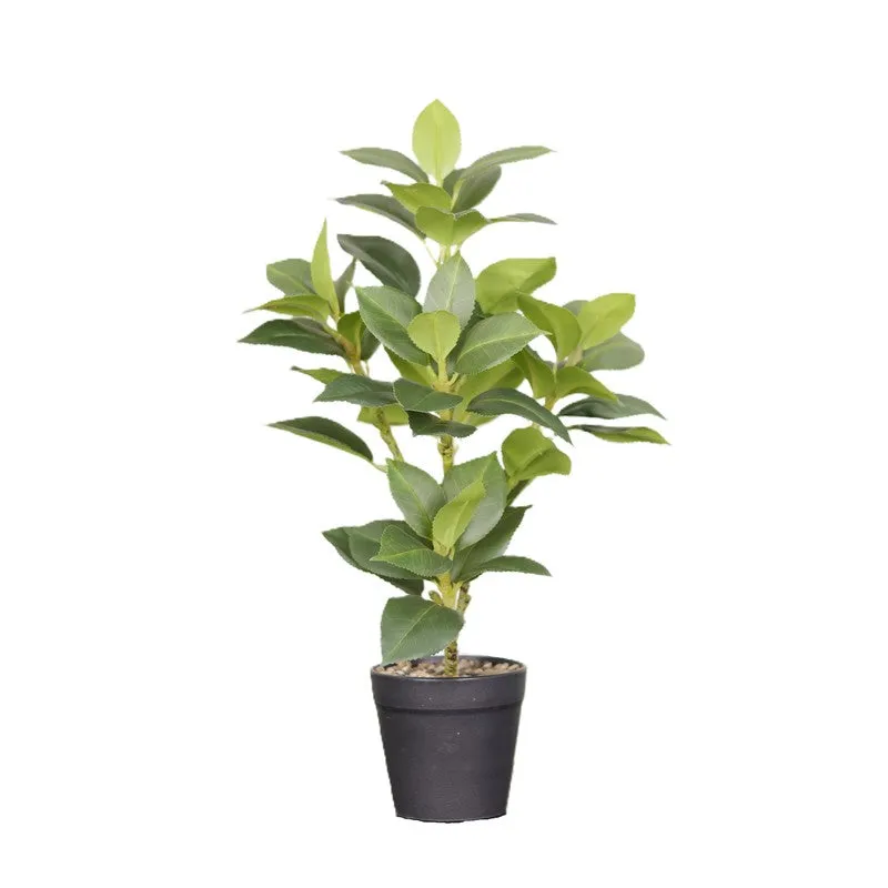 Artificial Green Leaf Plant With Black Fiber Pot - 1.3 Feet media 4