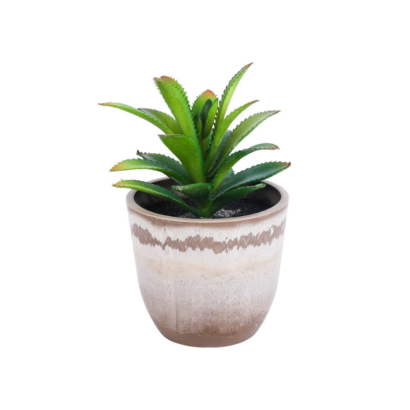 Artificial Mini Succulent With Pot - Set Of Three media 5