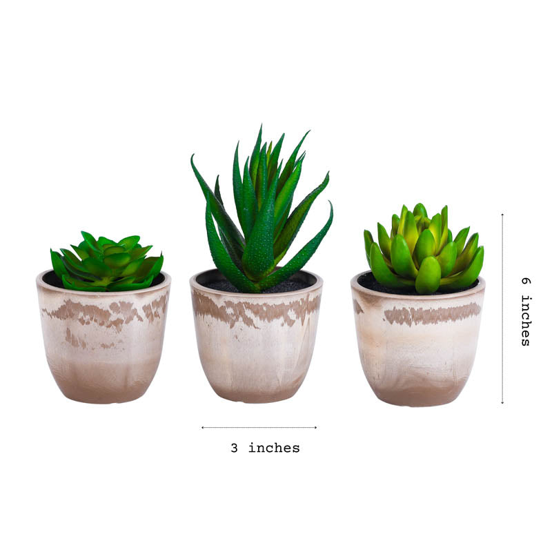Artificial Succulent With Black Plastic Pot - Set Of Three media 6