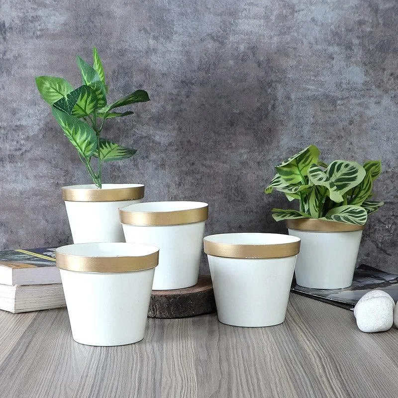 Darla Dose Planter - Set Of Five media 3