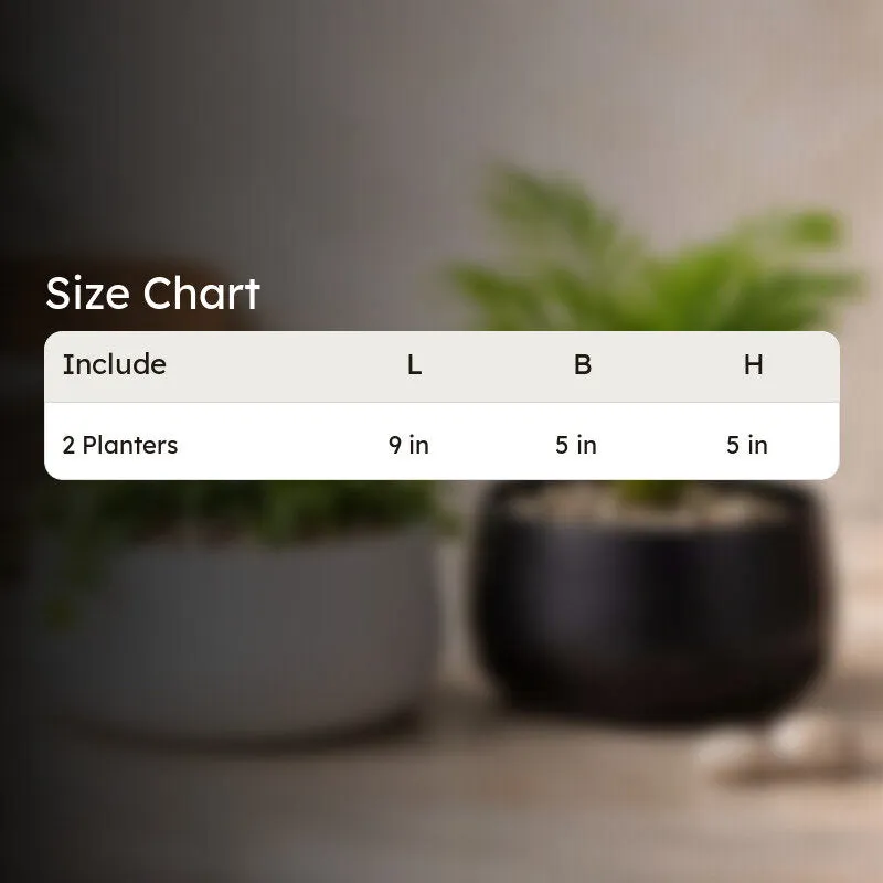 MinimalAura Pots & Planters (White, Black) - Set of Two media 9
