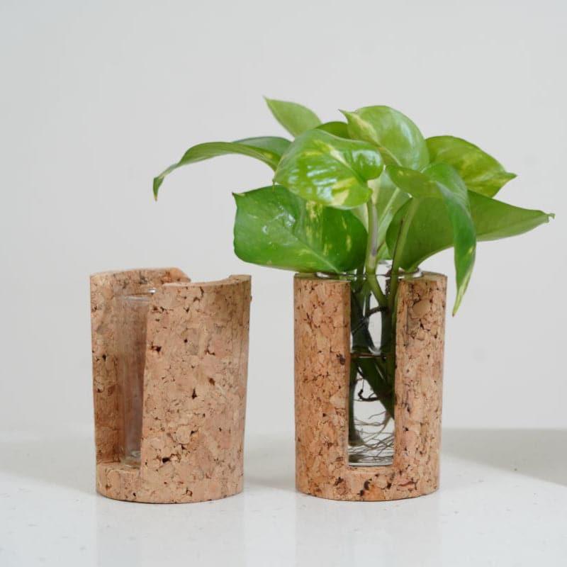 Hitcho Cork Testube Planter