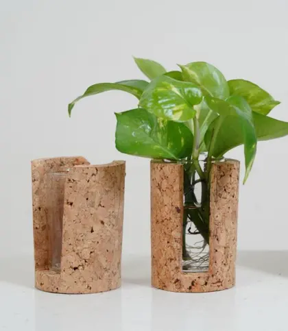 Cork