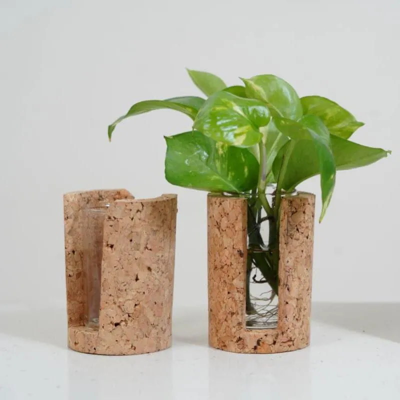 Hitcho Cork Testube Planter media 1