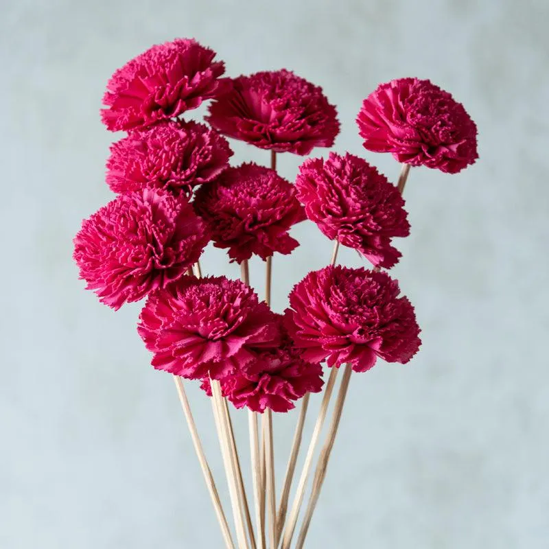 Berta Carnation Sola Flower Stick (Pink) - Set Of Ten media 3