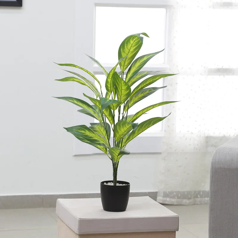 Faux Memoria Corsi Plant - 2.2 Feet media 2