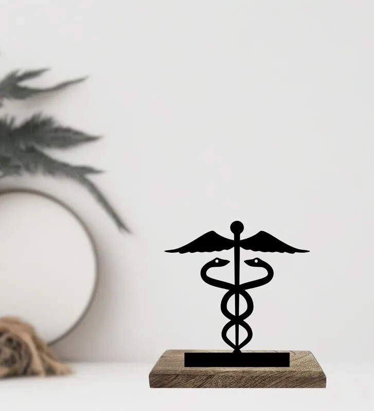 Doctor Showpiece - Set Of Two media 4