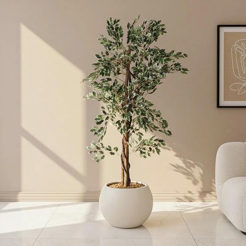 Faux Lush Variegated Ficus Plant With Black Plastic Pot - 5.6 Feet media 1