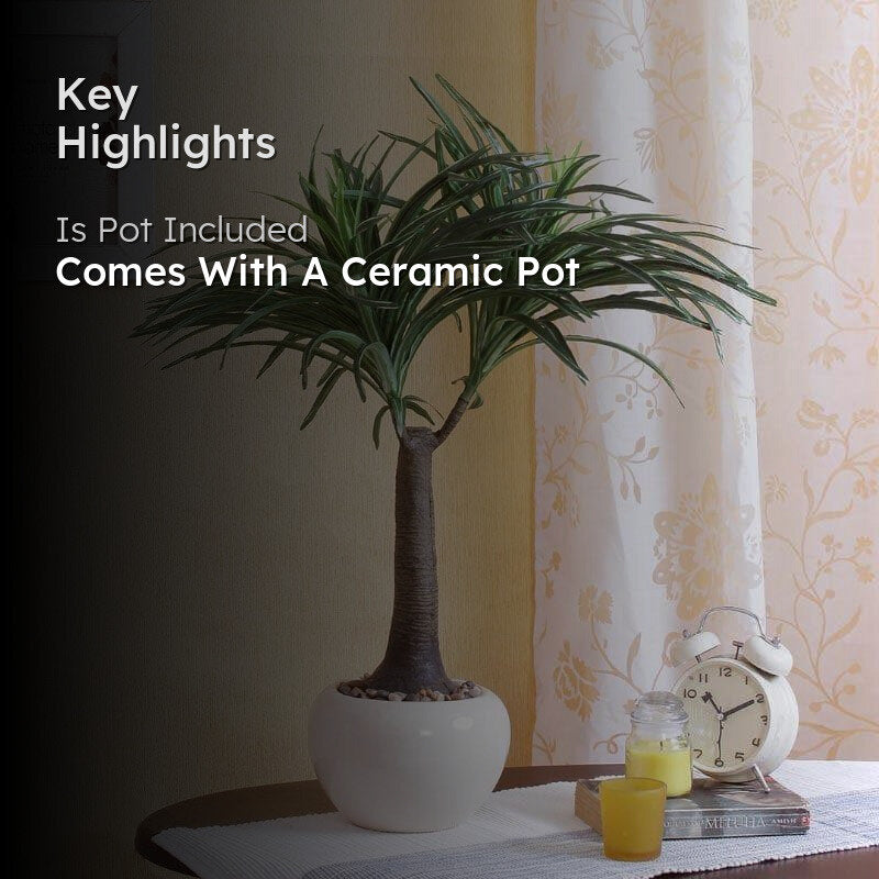 Faux Tall Nolina Bonsai In Ceramic Pot - 2.03 ft media 2
