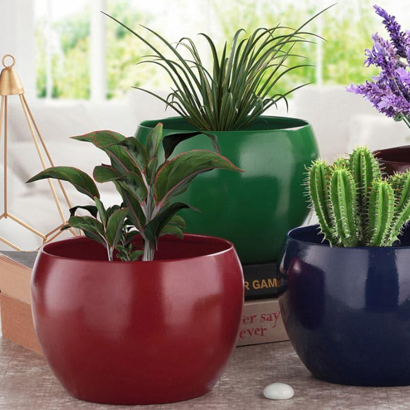 Porsho Fantasy Planter - Set Of Four media 5