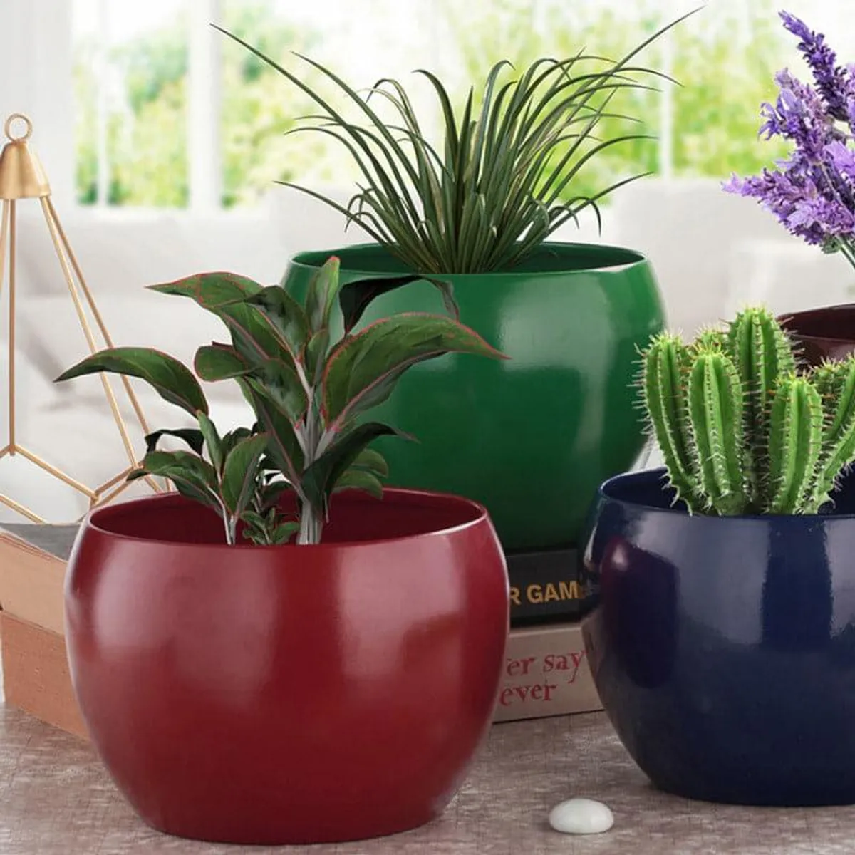 Close view of colourful glossy planters with green and flowering plants.