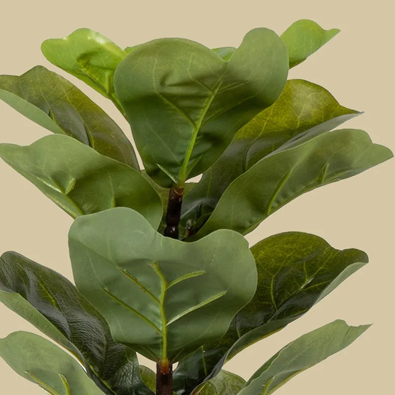 Fidelia Artificial Fiddle Fig Plant - 1 Feet media 5