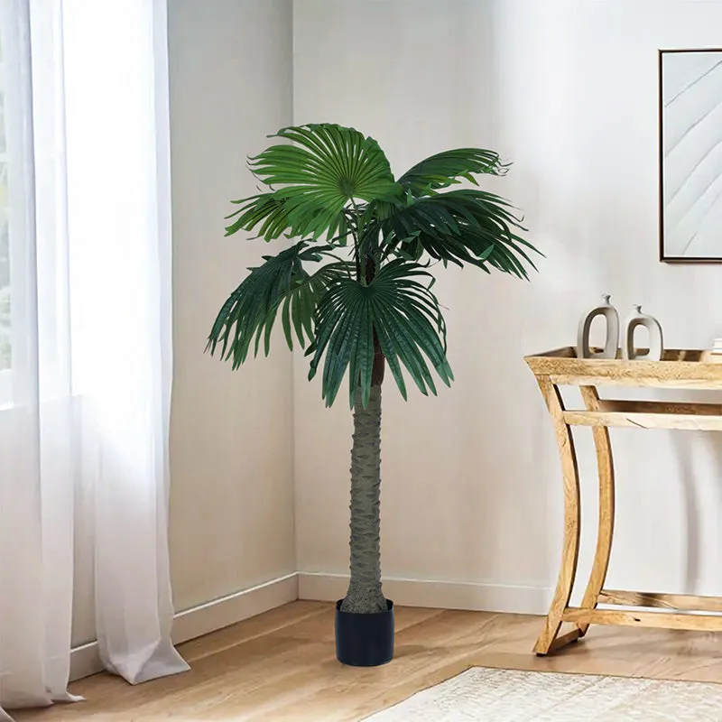 Dune Oasis Artificial Palm With Black Plastic Pot - 5 Feet media 3