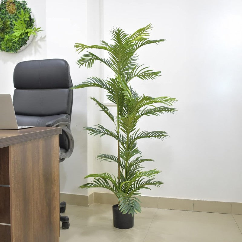 Greenly Artificial Dracaena Plant With Black Plastic Pot - 5 Feet media 7