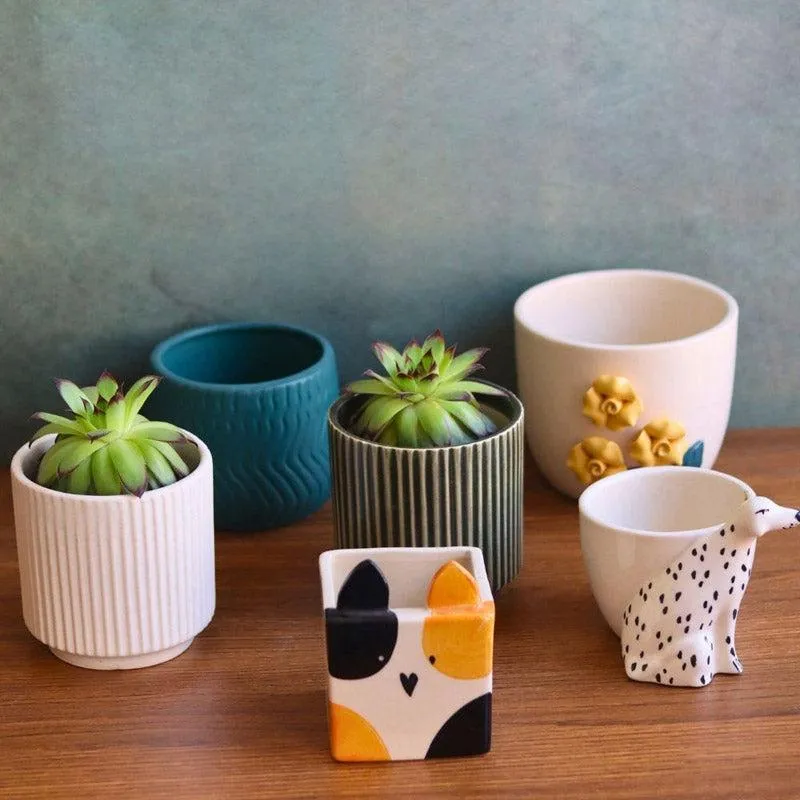 Ravia Aesthetic Planter Combo - Set Of Six media 1