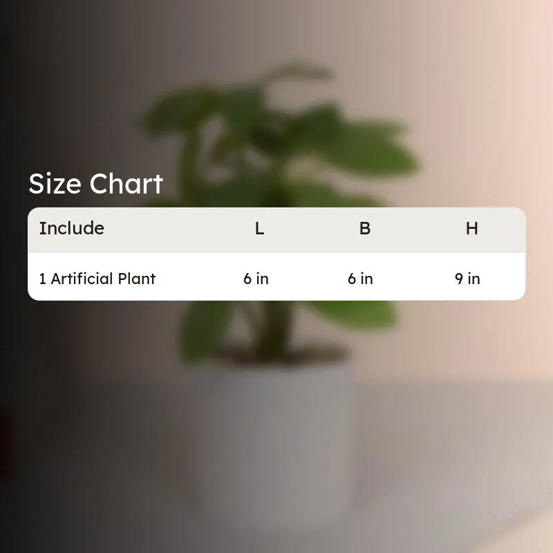 Artificial Schefflera Plants With Pot - Green media 7