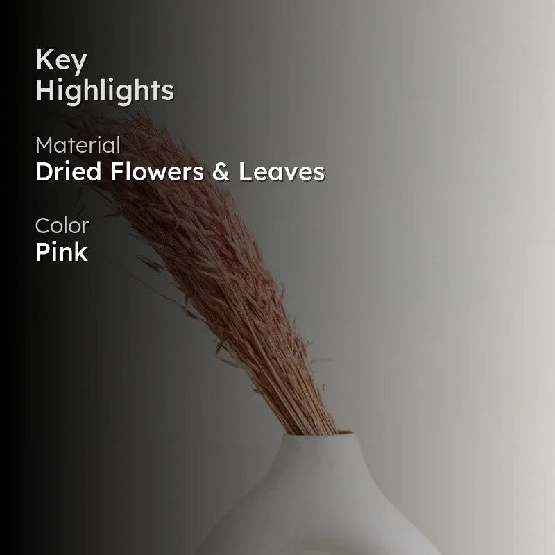 Hazo Millet Grass Dried Havana Grass Bunch - Pink media 2