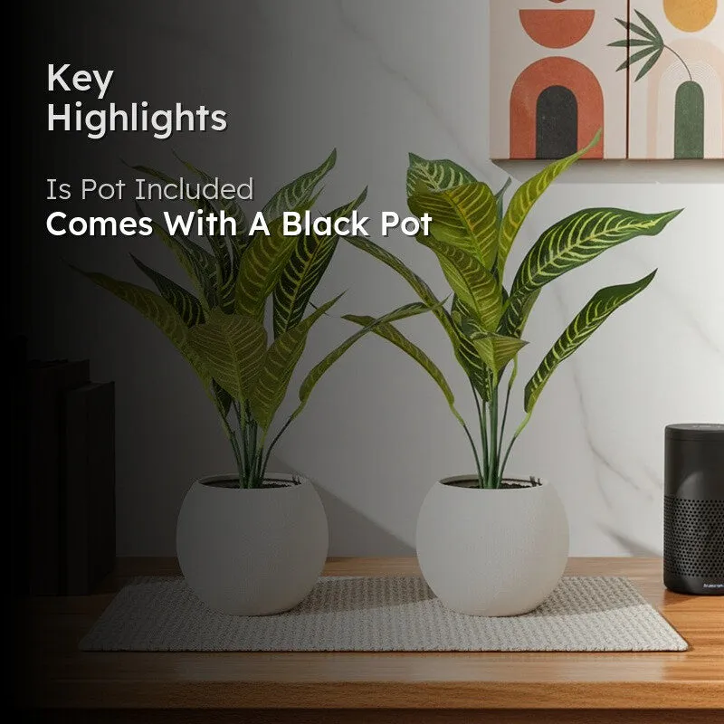 Faux Dracaena Plant With Black Plastic Pot (50 cms) - Set Of Two - 2