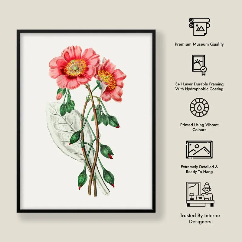 Springs Embrace Archival Paper Wall Art With Frame media 8