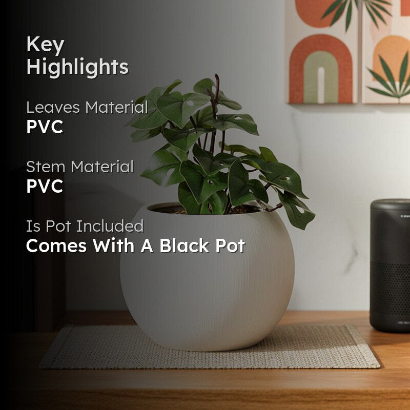 Artificial Philodendron Plant With Black Fiber Pot - 0.6 Feet media 2