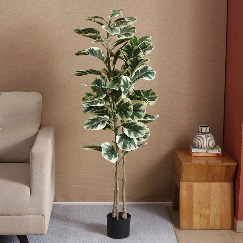 Faux Fiddle Leaf Fig Plant With Black Plastic Pot - 4.92 ft media 3