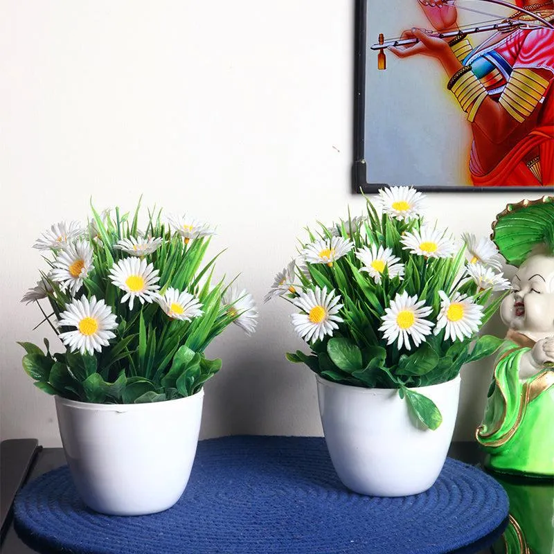 Faux White Daisy Plant With Black Plastic Pot - Set Of Two media 1