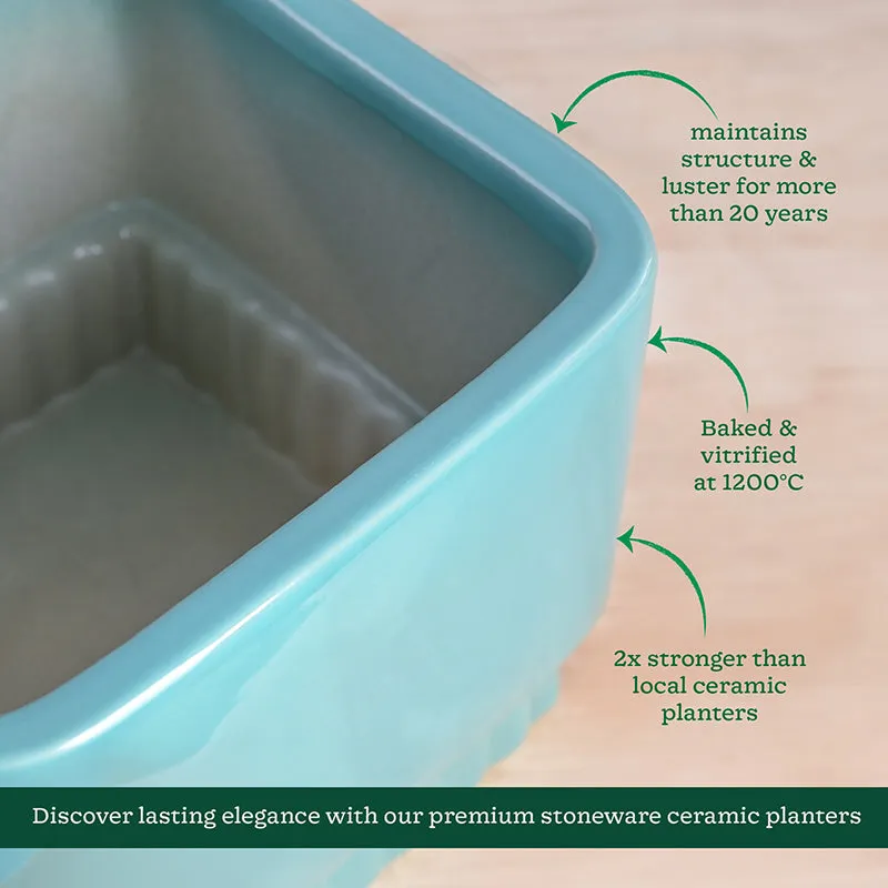 Ugaoo Sleepy Sprout Square Ceramic Planter - Blue media 6