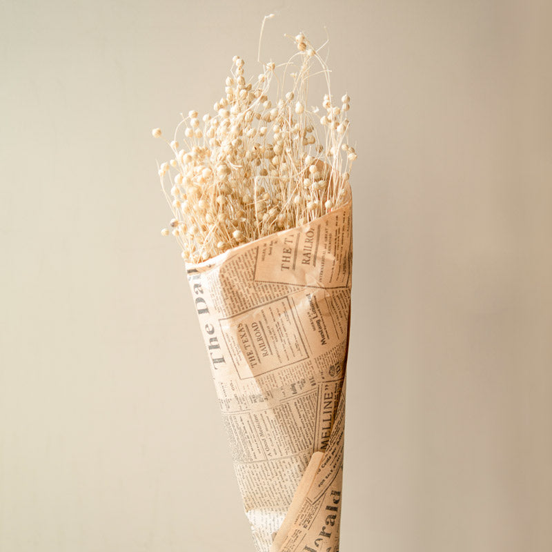Amora Fax Dried Flower Bunch - White media 3