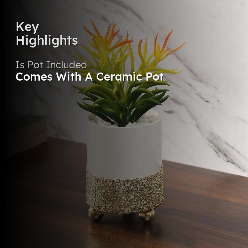 Faux Euphorbia In Decorative Pot - 20.5 cms media 2