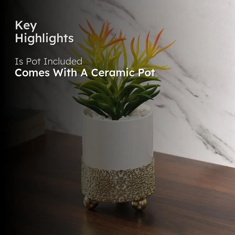 Faux Euphorbia In Decorative Pot - 20.5 cms - 2