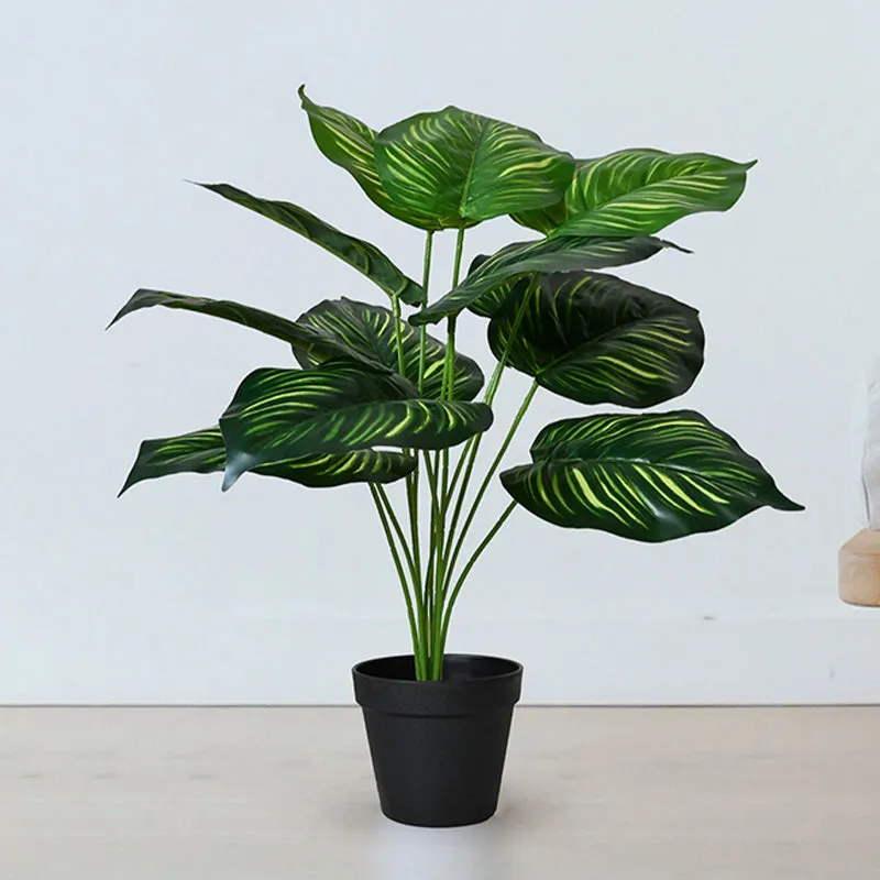 Faux Everlasting Calathea Orbifolia Plant With Black Plastic Pot - 65 cm (2.1 ft) media 3