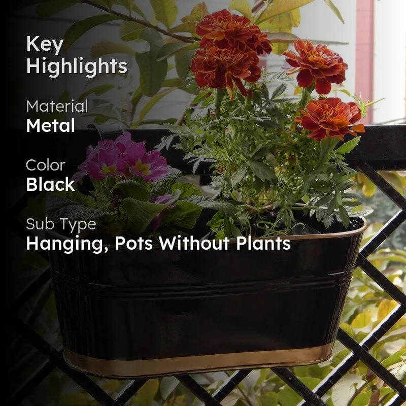 Norva Hanging Planter (Black) - Set Of Six media 2