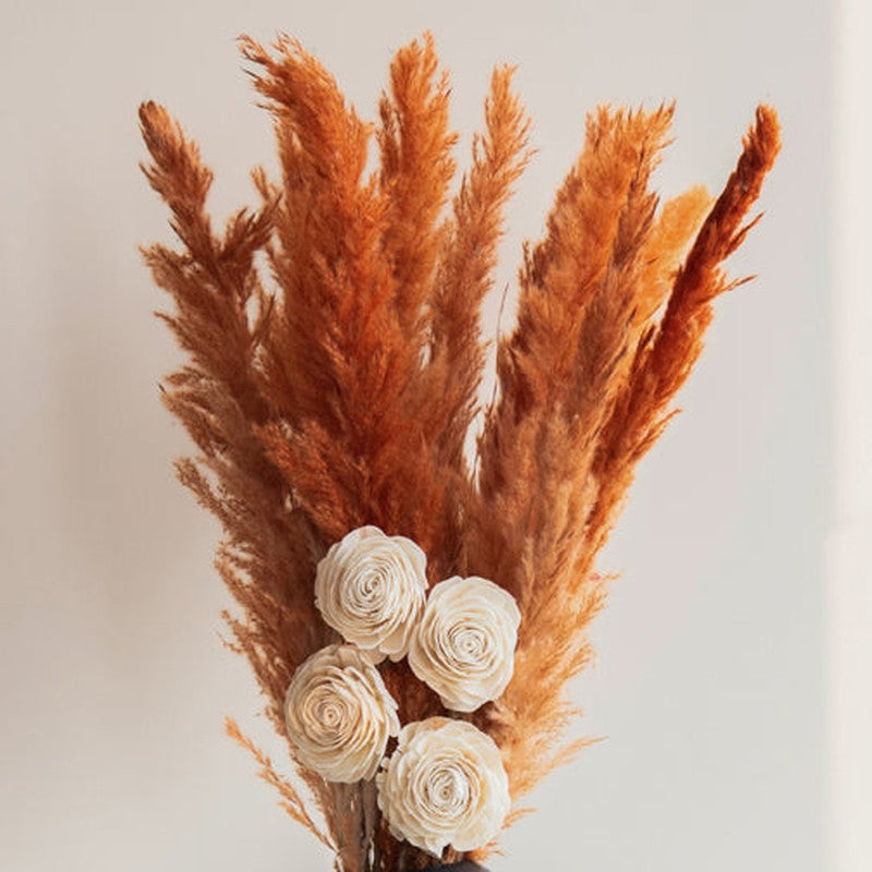 Sittora Pampas Bunch (Honey) - Set Of Fourteen media 3
