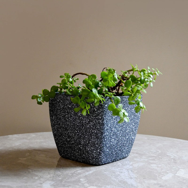 Monvia Plastic Garden Planter - Grey media 3