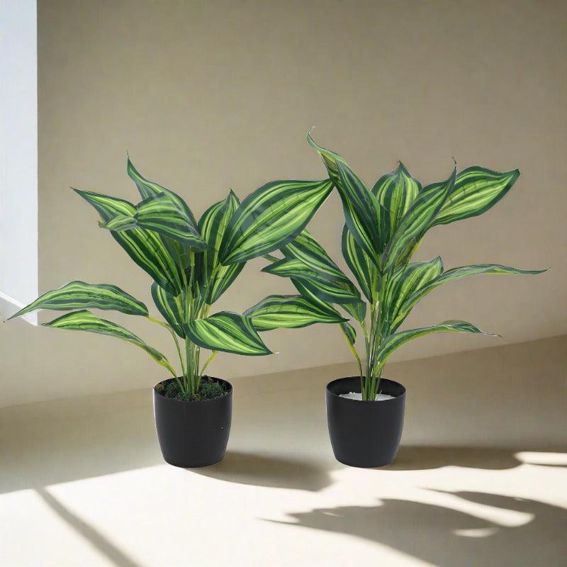 Faux Leopard Lily Plant With Black Plastic Pot (50 cms) - Set Of Two media 3
